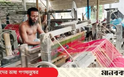 শাহজাদপুরে সংকটে সংকুচিত তাঁতশিল্প: গত এক বছরে বিক্রি কমেছে ৭০ শতাংশ