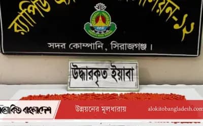 সিরাজগঞ্জে ১ হাজার ৯৫৮ পিস ইয়াবাসহ মাদক ব্যবসায়ী গ্রেপ্তার
