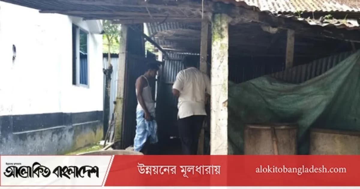 সিরাজগঞ্জে এক রাতে দুই কৃষকের গোয়াল থেকে ৭ গরু চুরি