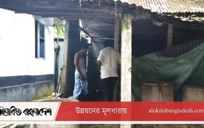 সিরাজগঞ্জে এক রাতে দুই কৃষকের গোয়াল থেকে ৭ গরু চুরি