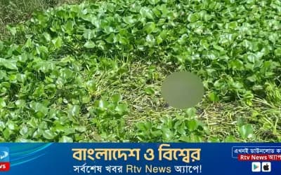 সিরাজগঞ্জে খালের কচুরিপানায় ভাসছিল অটোরিকশা চালকের মরদেহ