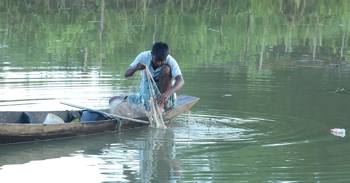 সাড়ে তিন মাস পর কাপ্তাই হ্রদে মাছ ধরা শুরু