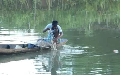 সাড়ে তিন মাস পর কাপ্তাই হ্রদে মাছ ধরা শুরু