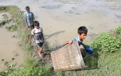 জলের টানে, মাছের খোঁজে