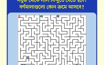 গোলকধাঁধা (পর্ব–১) : সবুজ বিন্দু থেকে লাল বিন্দুতে পৌঁছানোর সঠিক পথ কোনটি?