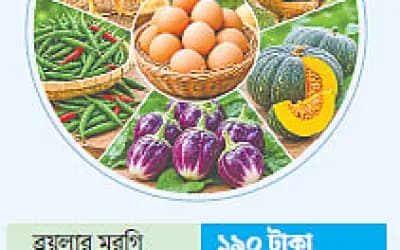 ১৬ ধরনের সবজির মধ্যে ১২টির দাম কেজিতে ৮০ টাকা