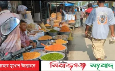 এনায়েতপুরের ঐতিহ্যবাহী আন্তঃজেলা হাটে জমজমাট কেনাবেচা