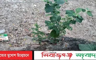 রাজশাহীতে পরিত্যক্ত অবস্থায় দুই ককটেল সদৃশ বস্তু উদ্ধার