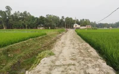 শাহজাদপুরে রাস্তাঘাটের ব্যাপক উন্নয়ন