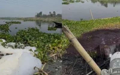শাহজাদপুরে নদী দূষণের খবর জানেনা পরিবেশ অধিদপ্তর!