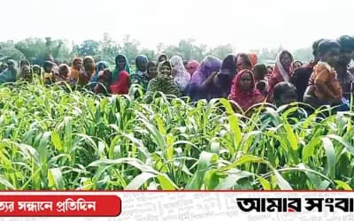 শাহজাদপুরে ঘাসের খেত থেকে অজ্ঞাত কিশোরের গলাকাটা লাশ উদ্ধার