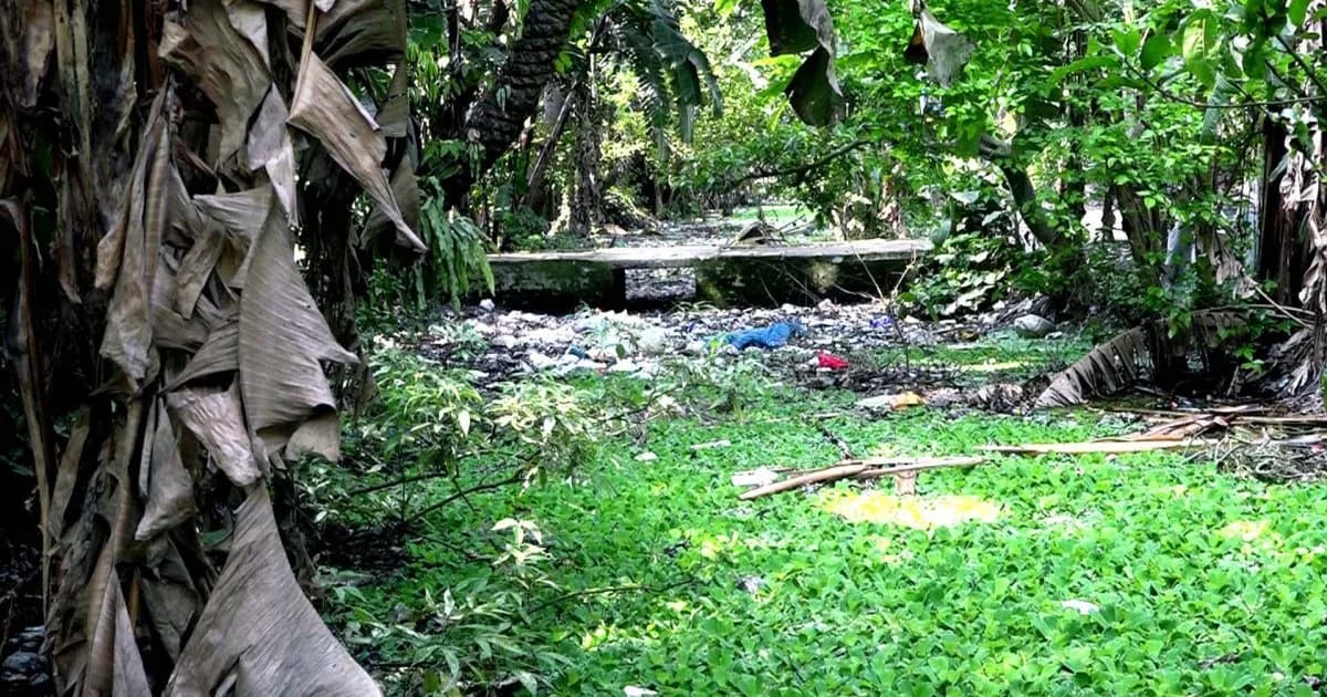 প্রভাবশালীদের দখলে জিয়া খাল, উদ্ধার করে খননের দাবি স্থানীয়দের