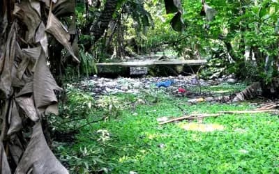 প্রভাবশালীদের দখলে জিয়া খাল, উদ্ধার করে খননের দাবি স্থানীয়দের