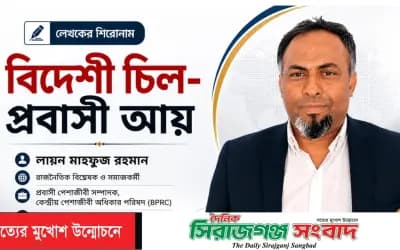 “বিদেশী চিল-প্রবাসী আয়”
