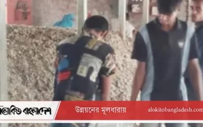 সিরাজগঞ্জে গরুর হাড়ের গুঁড়ো যাচ্ছে ওষুধ কোম্পানিতে