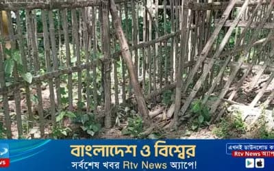 অমাবস্যার রাতে যা ঘটেছে শাহজাদপুরের একটি কবরস্থানে