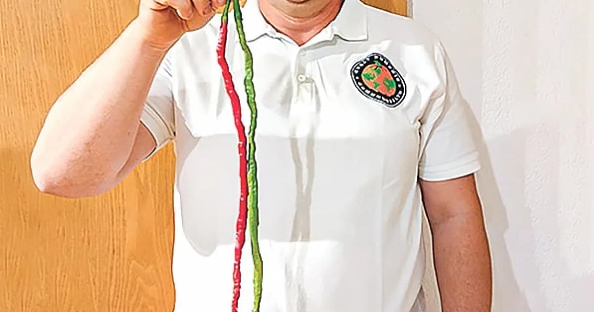 বিশ্বের সবচেয়ে লম্বা মরিচ