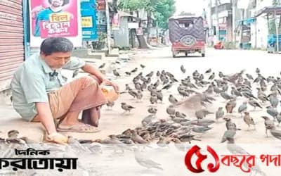 সিরাজগঞ্জে ১০ বছর পাখিদের খাওয়াচ্ছেন ব্যবসায়ী বুদ্ধ