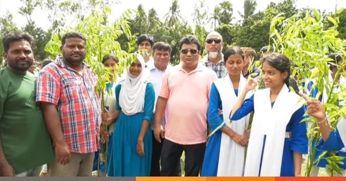সিরাজগঞ্জে বিএনপির প্রতিষ্ঠাবার্ষিকী উপলক্ষে শিক্ষার্থীদের মাঝে গাছের চারা বিতরণ