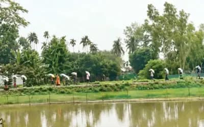 সরকার বলছে সার আছে, কৃষক পাচ্ছেন না: সংকট কোথায়?