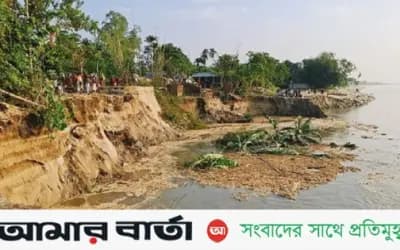 যমুনা নদীর তীব্র ভাঙনে দিশেহারা হয়ে পড়েছেন স্থানীয় বাসিন্দারা