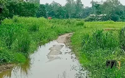 শাহজাদপুরের চির অবহেলিত গ্রাম গাছ বায়ড়া