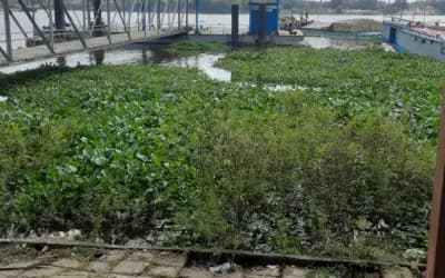 বাঘাবাড়ী নৌবন্দর ঐতিহ্য হারিয়ে প্রায় জাহাজ শূন্য