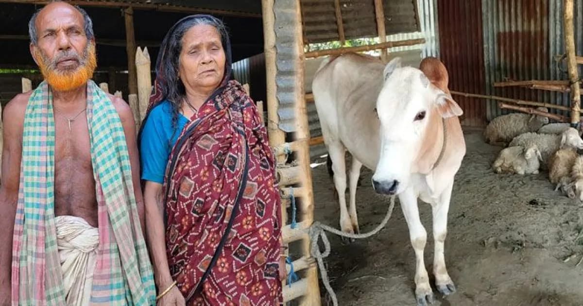 গ্রাম্য সালিশে বৃদ্ধ স্বামী-স্ত্রীকে একঘরে করে রাখার অভিযোগ