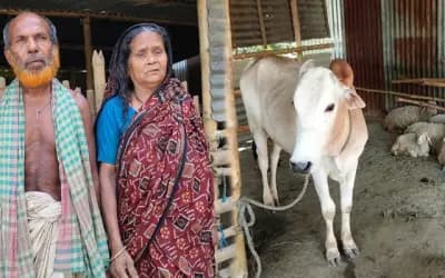 গ্রাম্য সালিশে বৃদ্ধ স্বামী-স্ত্রীকে একঘরে করে রাখার অভিযোগ