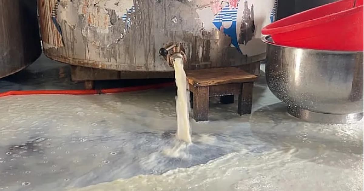 গাভি ছাড়াই ‘দুধ’: দুধের মতো দেখালেই দুধ নয়!