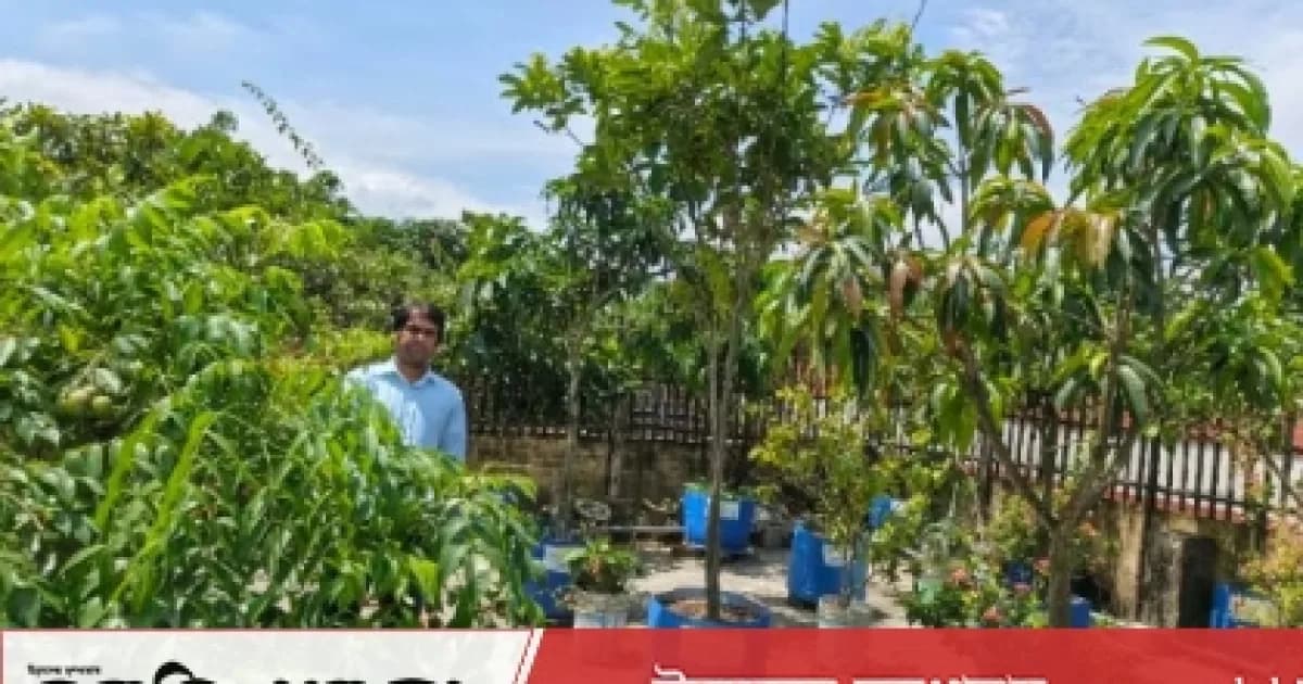 সিরাজগঞ্জে ছাদ ফল বাগান কৃষিপ্রশিক্ষণের কাজে লাগে