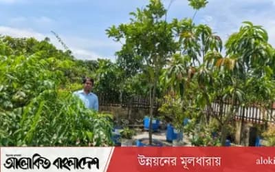 সিরাজগঞ্জে ছাদ ফল বাগান কৃষিপ্রশিক্ষণের কাজে লাগে