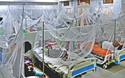 ডেঙ্গুতে আরো ৪ মৃত্যু, হাসপাতালে ভর্তি ১৫৫৮ জন