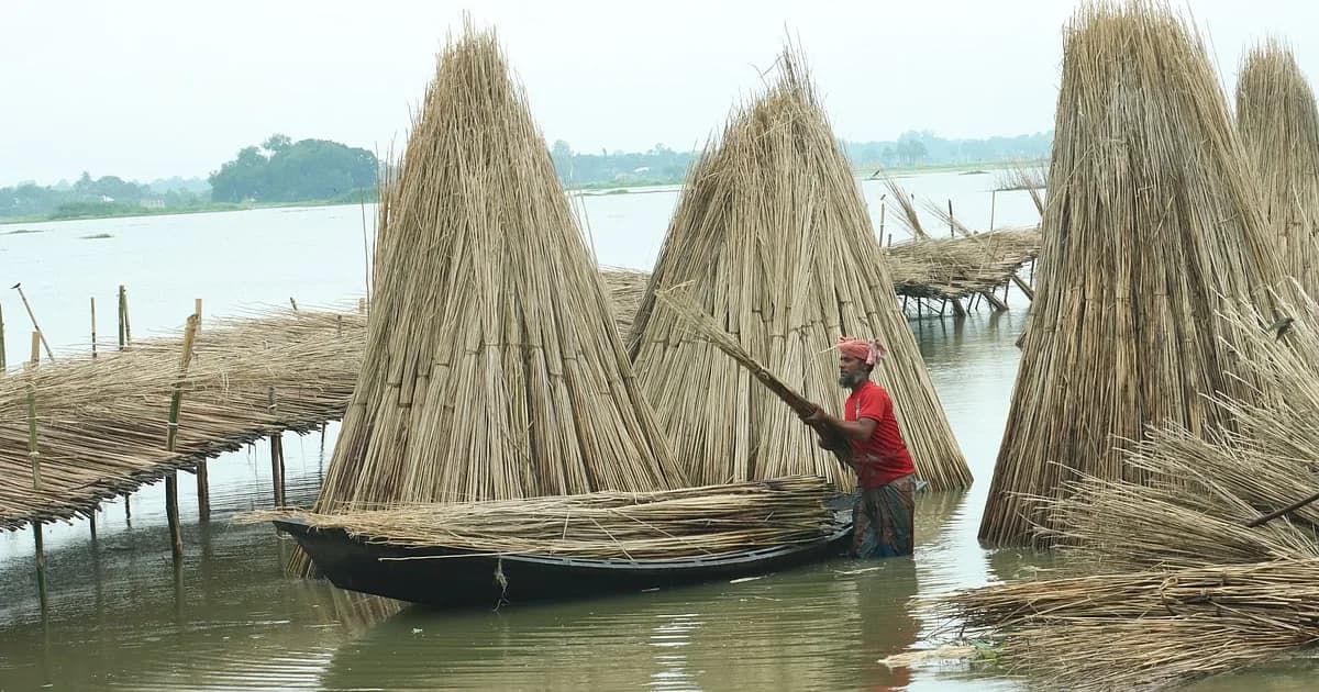 পাটকাঠিতে কৃষকের বাড়তি আয়