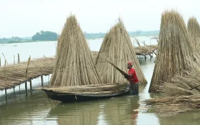 পাটকাঠিতে কৃষকের বাড়তি আয়