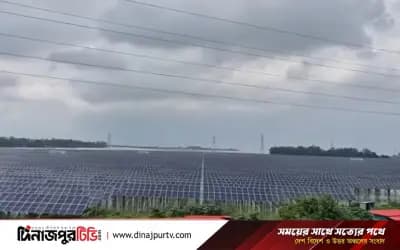 সিরাজগঞ্জের সৌরবিদ্যুৎ কেন্দ্রে কৃষিকাজ ও বিদ্যুৎ উৎপাদন