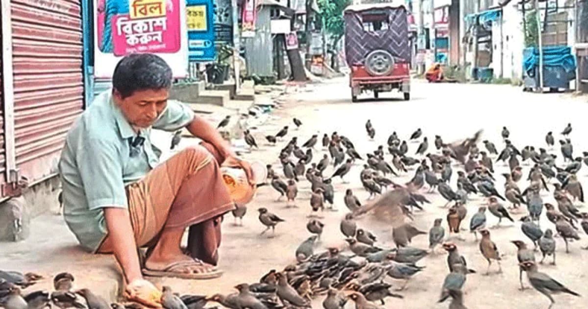 সিরাজগঞ্জে পাখির অকৃত্রিম বন্ধু কাঁচামাল ব্যবসায়ী বুদ্ধ
