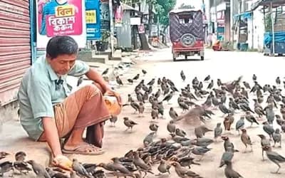 সিরাজগঞ্জে পাখির অকৃত্রিম বন্ধু কাঁচামাল ব্যবসায়ী বুদ্ধ
