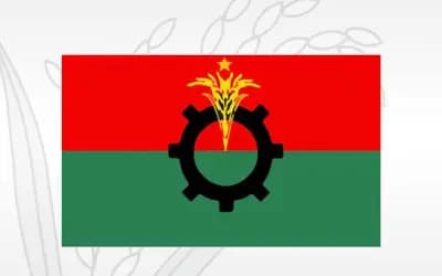 স্থানীয় সরকার নির্বাচন ও কাউন্সিল: কীভাবে সমন্বয় করছে বিএনপি