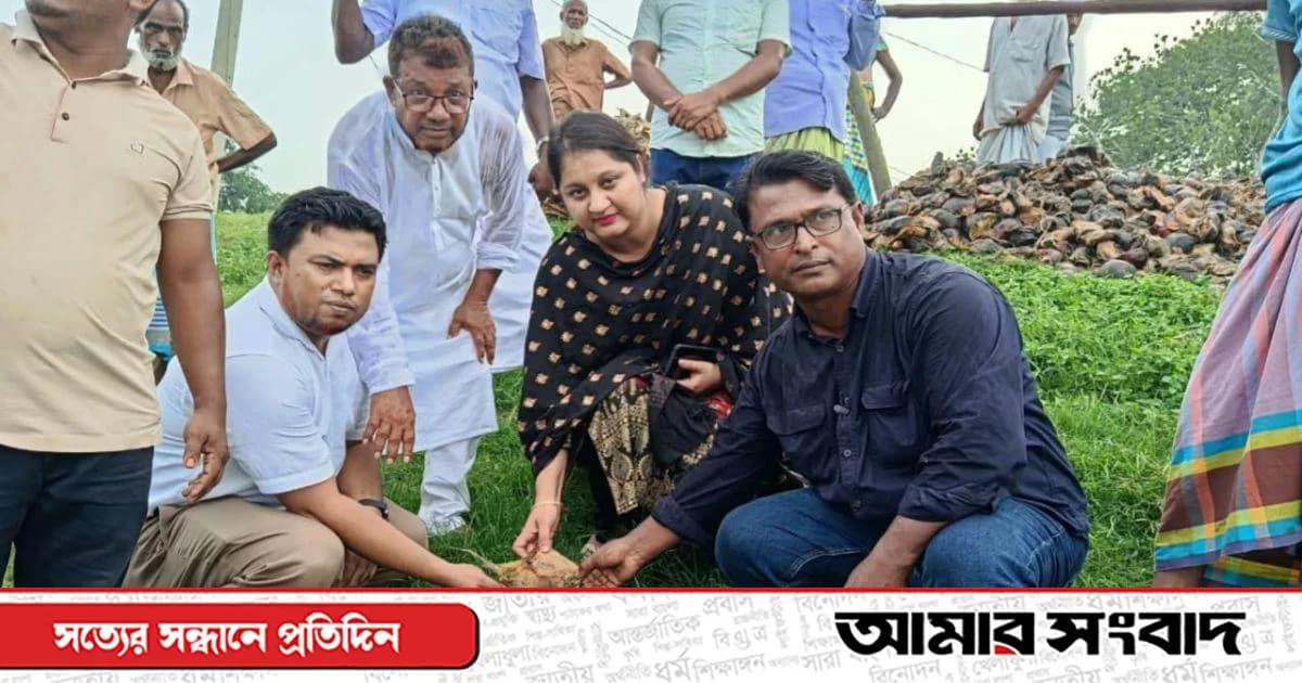 শাহজাদপুরে যমুনার বাঁধে তালবীজ বপন কর্মসূচির উদ্বোধন