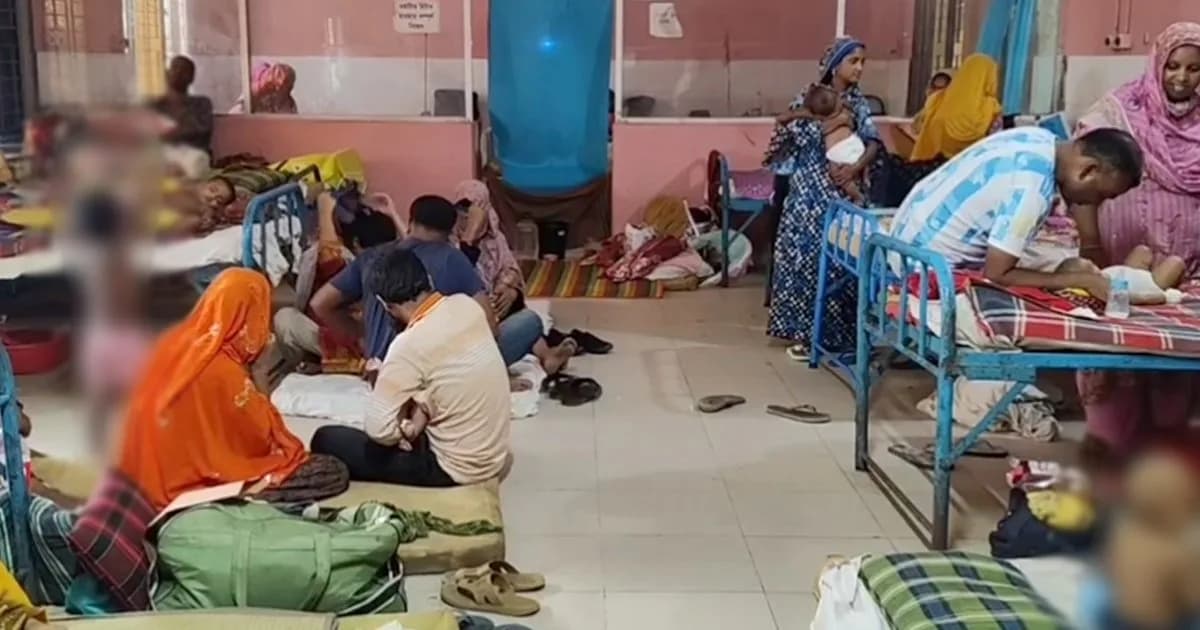 সিরাজগঞ্জে নতুন ডেঙ্গু রোগী ১৮, হাসপাতালে ৭৯