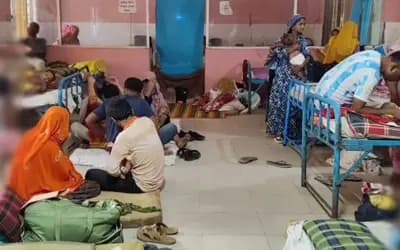 সিরাজগঞ্জে নতুন ডেঙ্গু রোগী ১৮, হাসপাতালে ৭৯