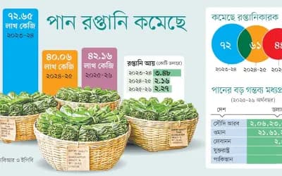 সমিতির স্বেচ্ছাচারিতায় ব্যাহত পান রপ্তানি, বাজার যাচ্ছে প্রতিযোগীদের হাতে