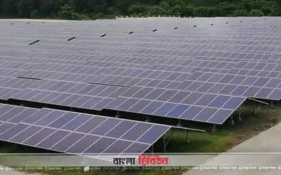 সৌরবিদ্যুতের দিকে ঝুঁকছে বাংলাদেশ, বাধা কোথায়?