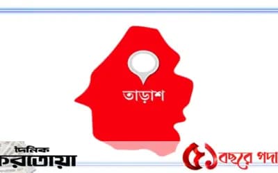 সিরাজগঞ্জের তাড়াশে দুর্বৃত্তদের দেওয়া কীটনাশকে মারা গেল ২০টি বাড়ন্ত তালগাছ