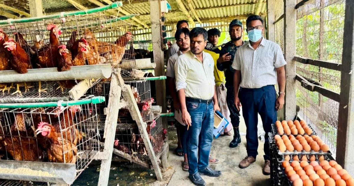 সিরাজগঞ্জে ডিম ও পোল্ট্রি বাজারে অভিযান, জরিমানা ৭ হাজার টাকা