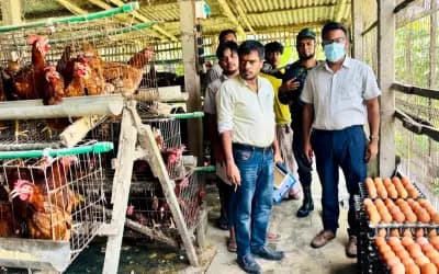 সিরাজগঞ্জে ডিম ও পোল্ট্রি বাজারে অভিযান, জরিমানা ৭ হাজার টাকা