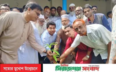 সিংড়ায় বিলদহর উচ্চ বিদ্যালয়ে বৃক্ষরোপণ কর্মসূচি অনুষ্ঠিত