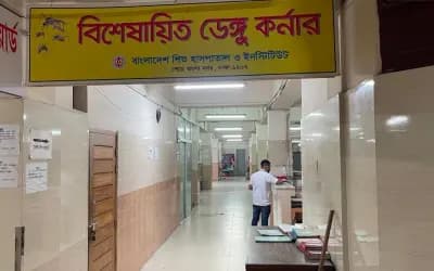 কনটেন্ট ক্রিয়েটররা কীভাবে ডেঙ্গু মোকাবিলা করবেন
