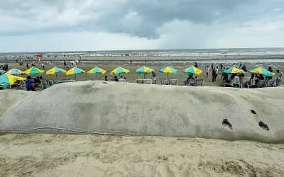 কক্সবাজার সৈকতের ভাঙন কেন তীব্র হচ্ছে